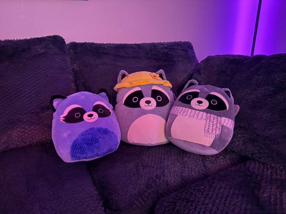 Photo of three Squishmallow raccoons, Rocky in a scarf, Rocky in a yellow hat with a yellow flower on it, and Durango. 
