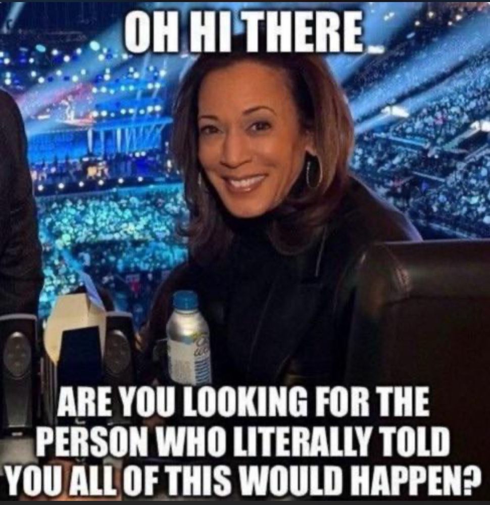 Picture of Kamala Harris smiling from her seat at a concert.