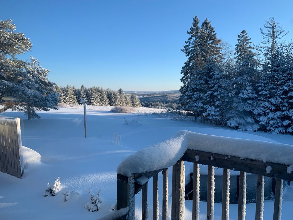 Snow scene with snow covered trees in the background 