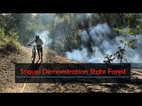 REDUCING WILDFIRE RISK: Soquel Demonstration State Forest🌲