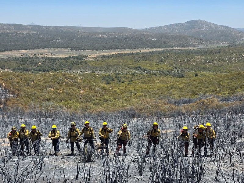CAL FIRE firefighters stand on land scarred by fire.