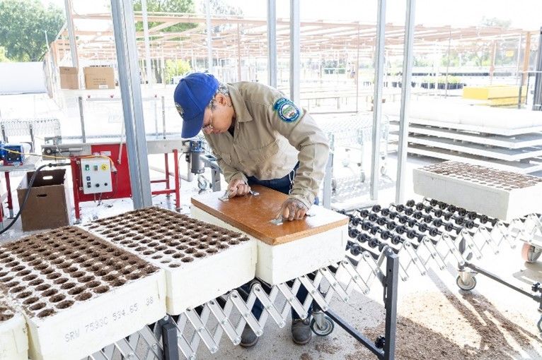 California Conservation Corps are sowing seeds