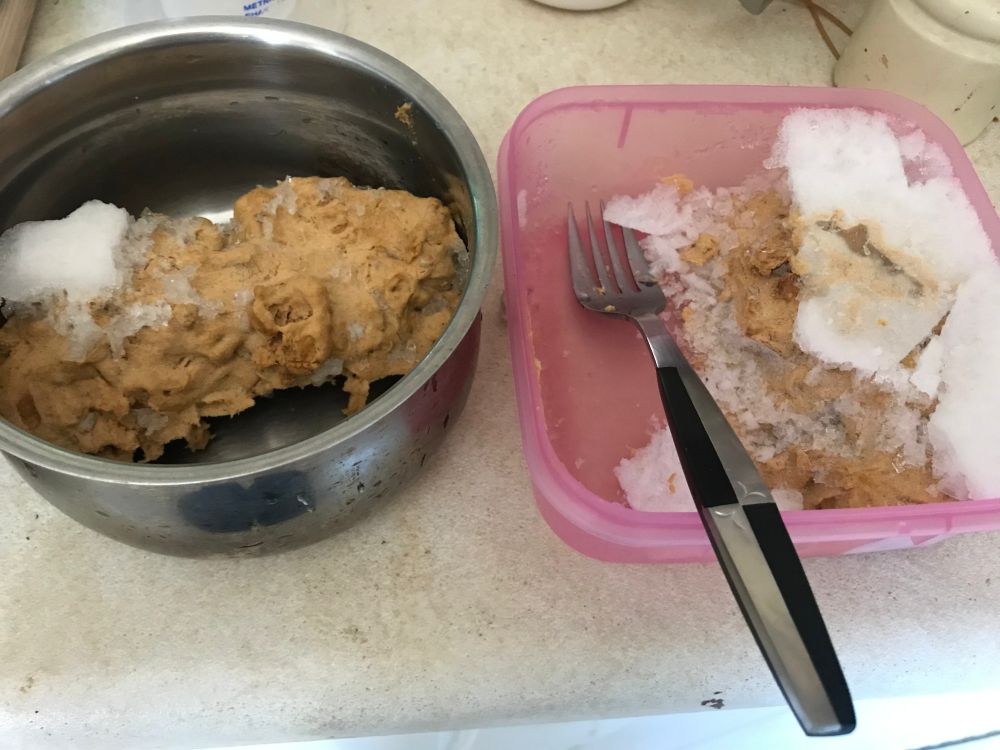 a freeze-dried clump of what might be a stroganoff or a curry (the author doesn't know, but will find out). All the moisture that had been in the dish has formed an icy crust over it. A segment has been broken out and sits in a small pot next to the container it had been frozen in.