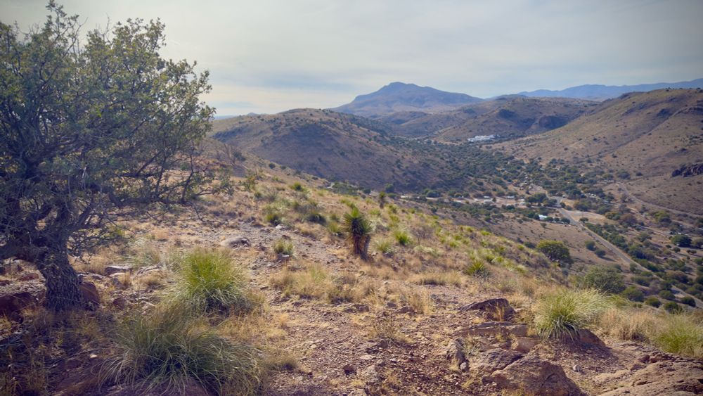Davis Mountains State Park, TX