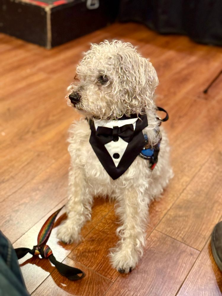 A handsome Magnus. He’s wearing a tux. 