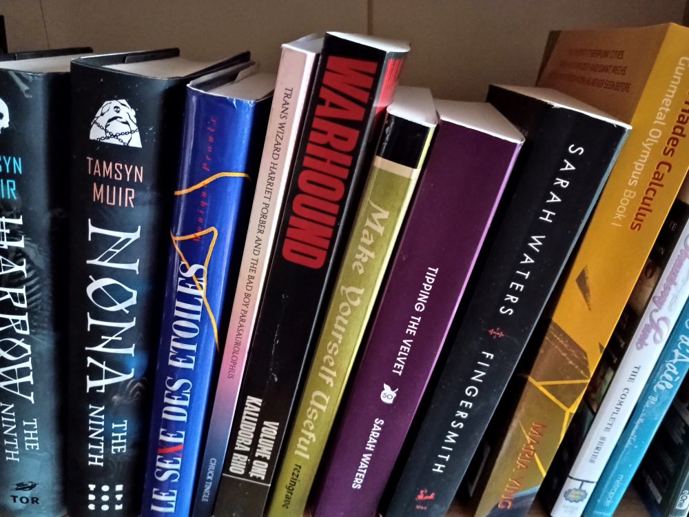 Bookshelf with various queer books, notably @rezingrave.bsky.social's Make Yourself Useful, @kallidorarho.bsky.social's Warhound, Harriet Porber by Chuck Tingle, Le Sexe des Étoiles by Dominique Proulx, Tasmyn Muir's Locked Tomb series, Tipping the Velvet and Fungersmith by Sarah Waters, the Hades Calculus by Maria Ying. There is also the DVDs for Strawberry Panic and la Vie d'Adèle