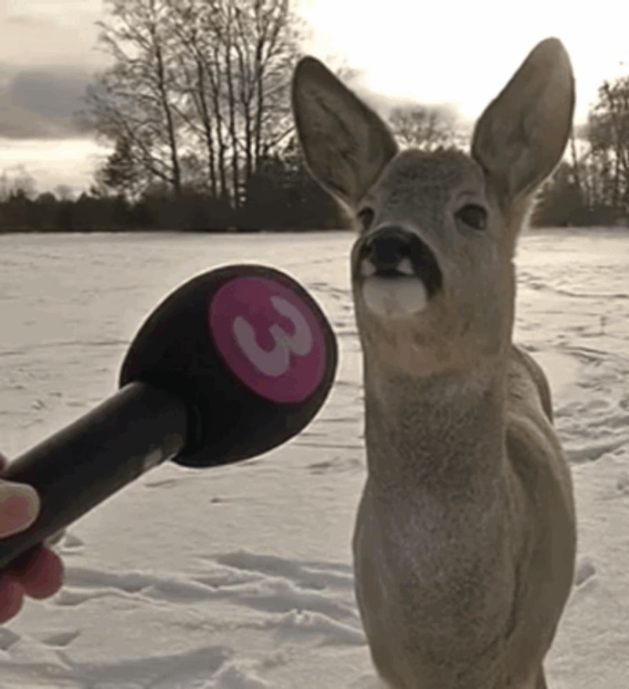 a person is holding a microphone with the number 3 on it in front of a deer