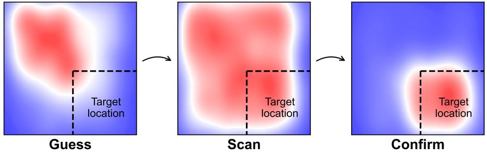 A figure with three heatmaps showing allocation of fixations on a GUI. The first heatmap depicts a Guess stage where fixations are directed to upper-left, the second a Scan stage where the fixations spread out and the third a Confirmation stage where fixations are concentrated at the target location, which is the lower-left quadrant.