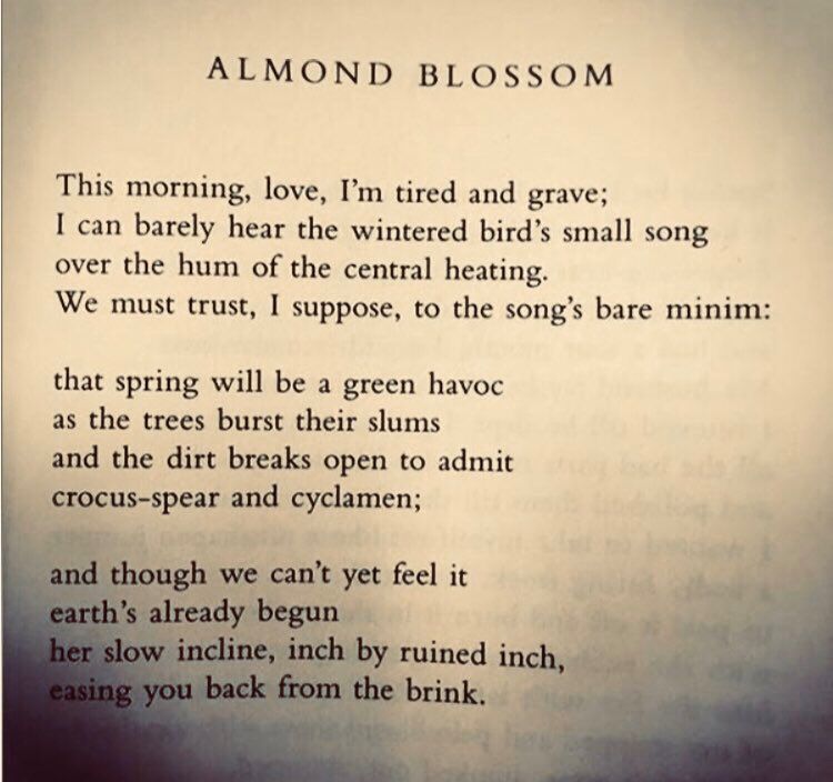 Text of a poem by Fiona Benson, entitled "Almond Blossom"

This morning, love, I'm tired and grave;
I can barely hear the wintered bird's small song 
over the hum of the central heating.
We must trust, I suppose, to the song's bare minim:

that spring will be a green havoc 
as the trees burst their slums 
and the dirt breaks open to admit 
crocus-spear and cyclamen;

and though we can't yet feel it 
earth's already begun
her slow incline, inch by ruined inch, 
easing you back from the brink.