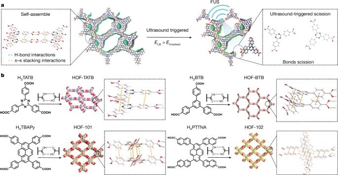 The figure shows the preparation of ultrasound mechanically responsive hydrogen-bonded organic frameworks (HOFs). Source: https://www.nature.com/articles/s41586-024-08401-0 