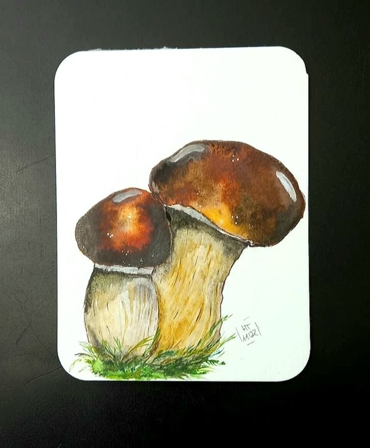 Zwei Steinpilze dicht aneinander gelehnt. Sie wurden mit Aquarellfarben gemalt. Der rechte Pilz ist etwas größer und hat einen breiteren Schirm als der Linke Pilz. Eine kleine Äste und Gräser wurden am unteren Ende des Stiels gemalt.