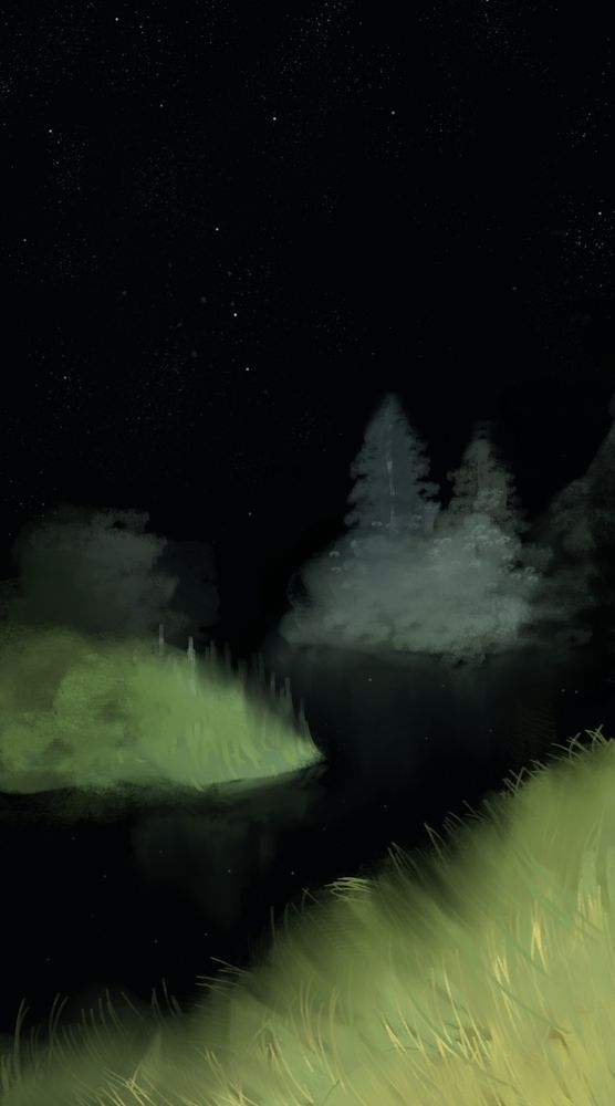 A river at night illuminated by a flashlight underneath a starry sky and a lot of grass and trees