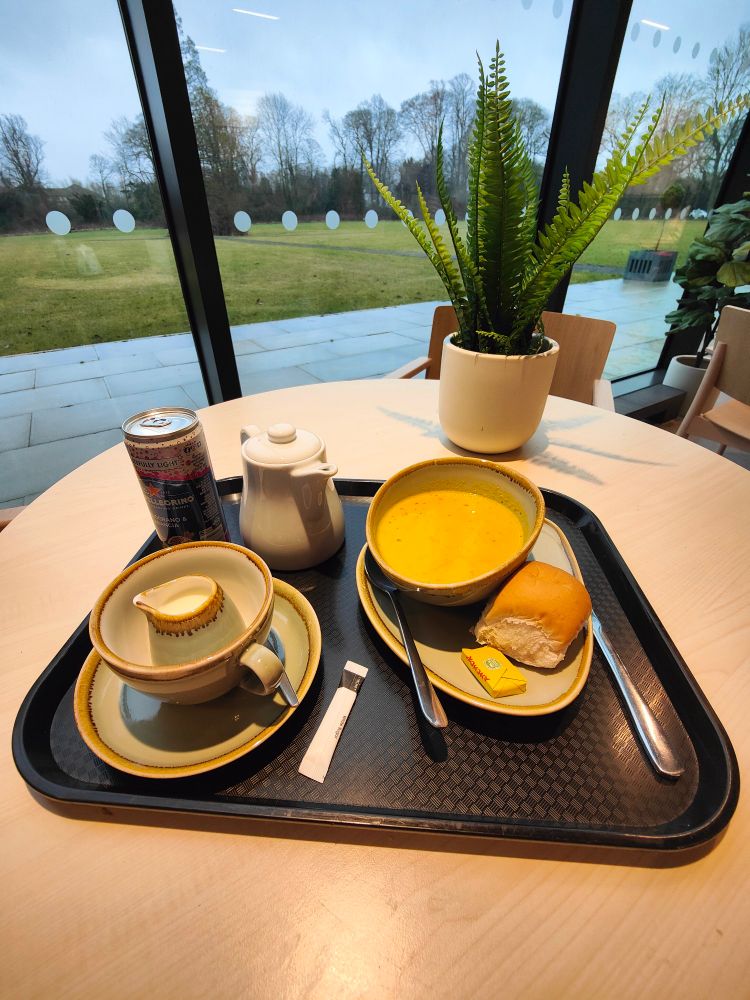 Can of pop, cup of tea and bowl of soup on a tray on a table with garden view