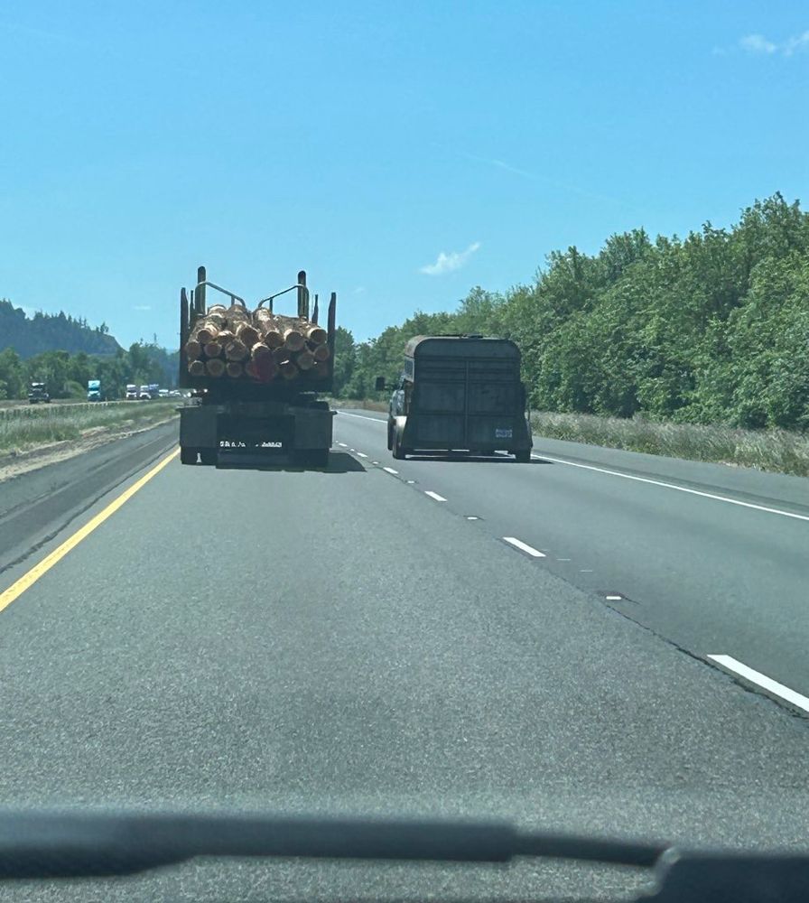 Logging truck in front of us on the highway 
