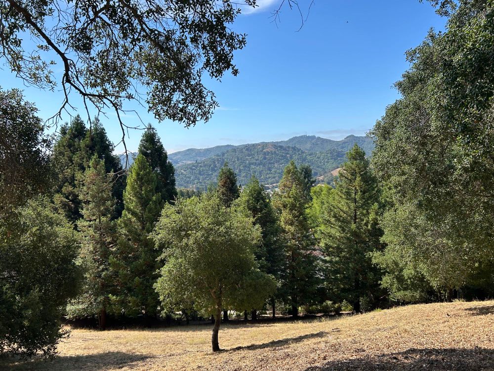 Trees, hills, and a highway in the distance 