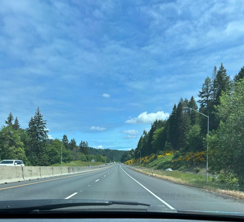 View down I-5 with green forest on both sides and on the hills up ahead. There are some bright yellow shrubs growing along the right side of the highway, and the sky overhead is blue with puffy white clouds.