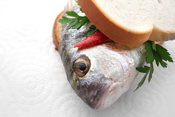 a whole fish head with eyes staring out  from between two slices of white bread with a bit of green parsley
