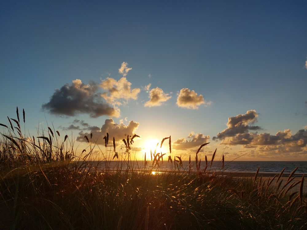 Ein Sonnenuntergang überm Meer. Im Vordergrund Gräser.