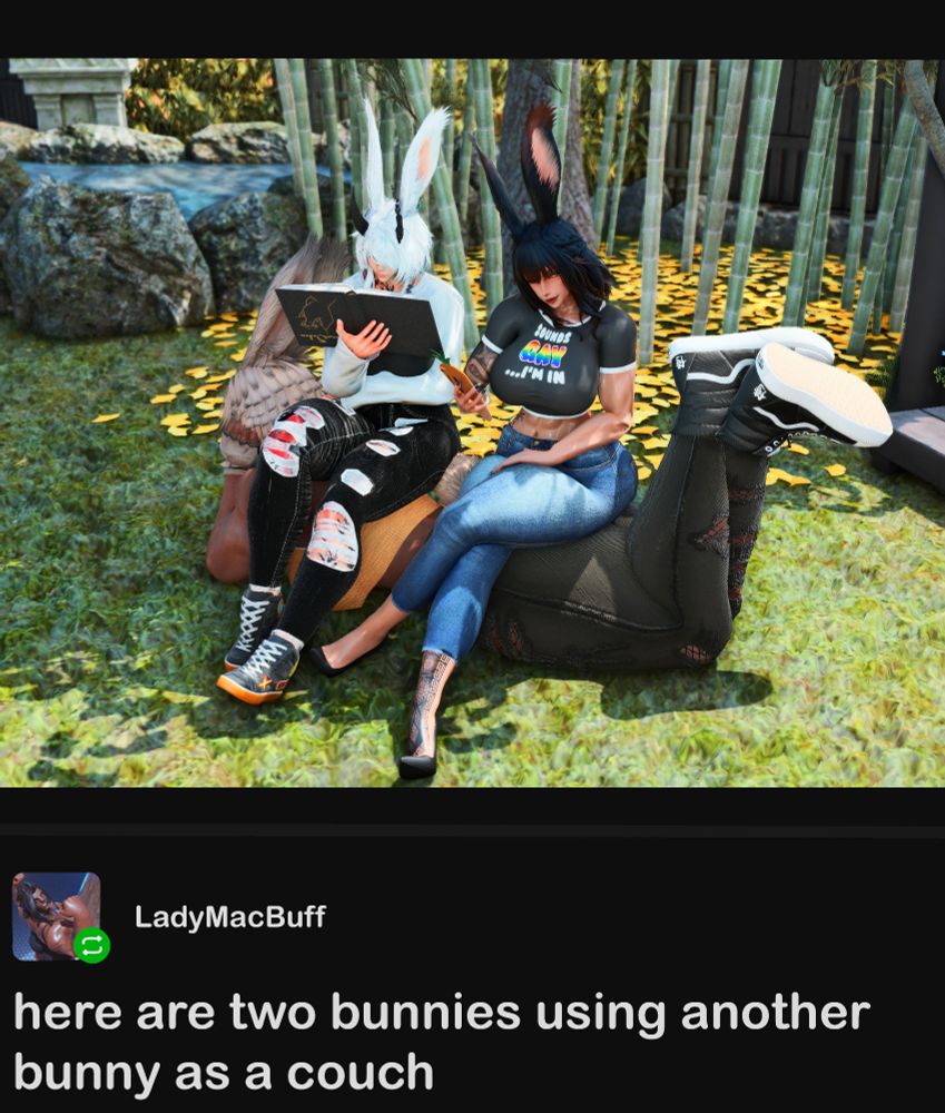 Faye lays on the ground while two viera sit on her back, using her as a couch. Surprisingly comfortable.

The white haired Viera on the left is Arto. Arto is wearing a white shirt and black, torn jeans. She appears to be reading a book upside down.

The dark haired Viera on the right is Noxx. Noxx is wearing a black t-shirt with text that reads "Sounds GAY ...I'm in", as well as a pair of blue jeans. She is browsing on a carrot shaped phone.

Faye is the blonde haired viera laying on the ground. She is wearing an orange hoodie and dark, torn jeans. She appears to be asleep as well.

The text at the bottom of the image reads "here are two bunnies using another bunny as a couch"