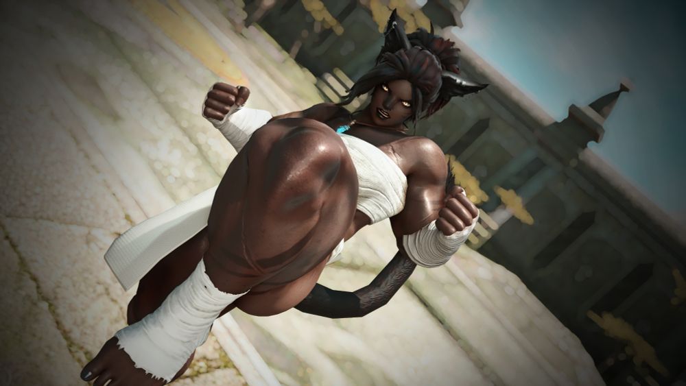 POV shot of a miqo'te monk in the midst of kicking someone in the face.