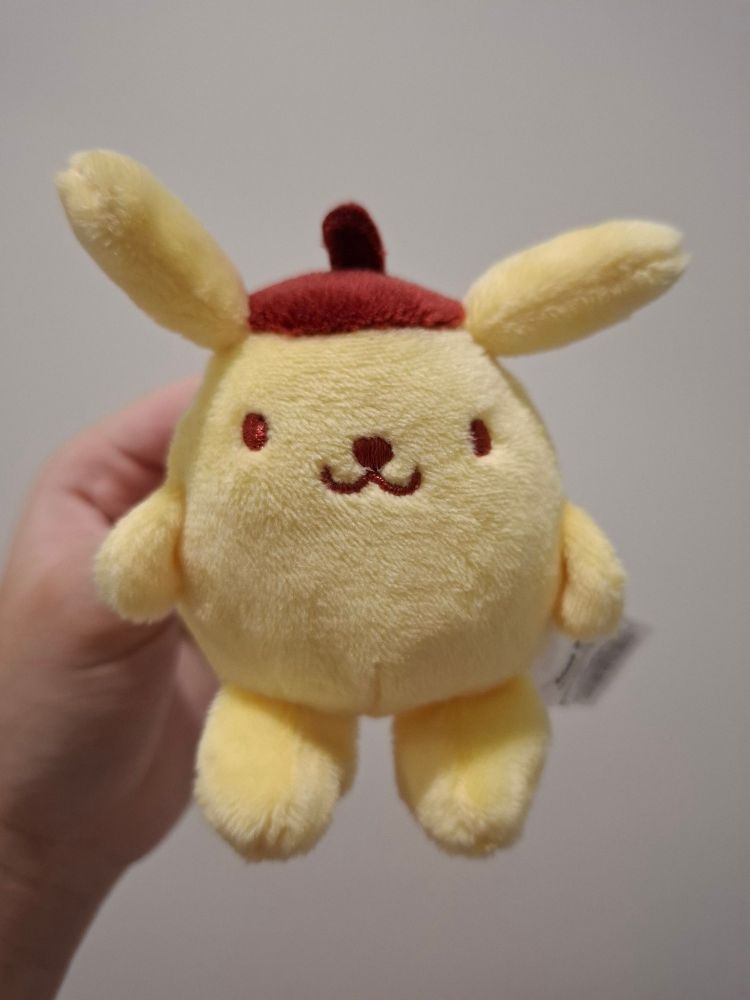 I just had to buy this Pompompurin mini plushie. He's so silly and cute and he reminds me of Vee!!!!