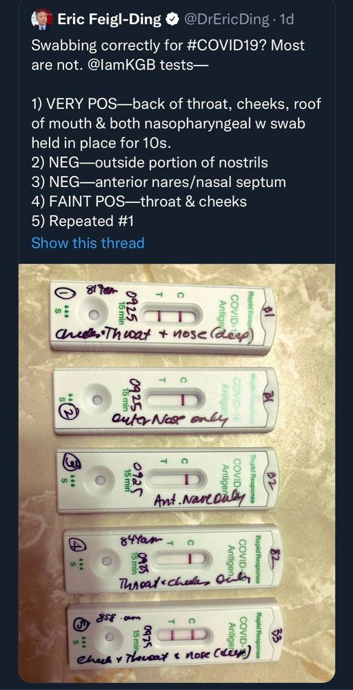 Selbsttest-Anleitung