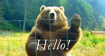 a bear is standing behind a wire fence and says hello !