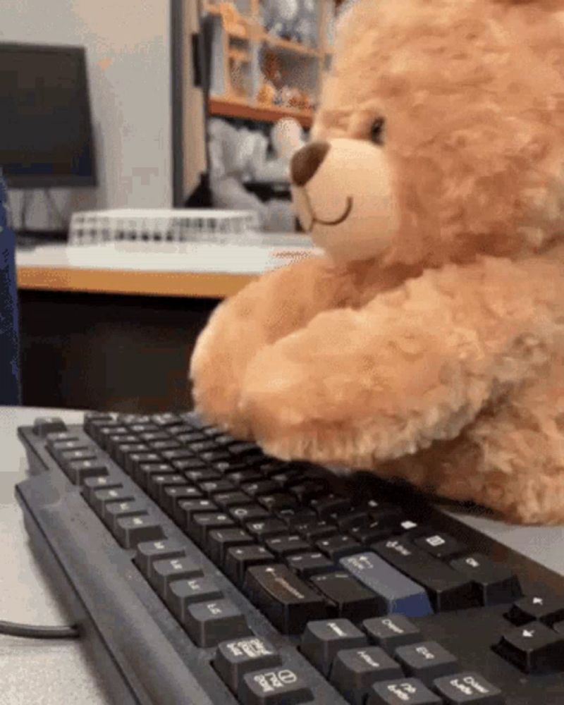 a teddy bear is typing on a computer keyboard with the shift key visible