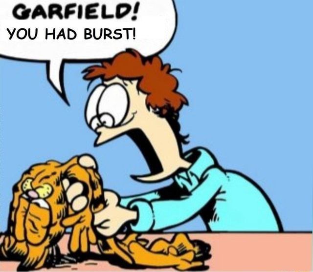 "GARFIELD YOU HAD BURST!"

Jon screaming holding Garfield who is deflated