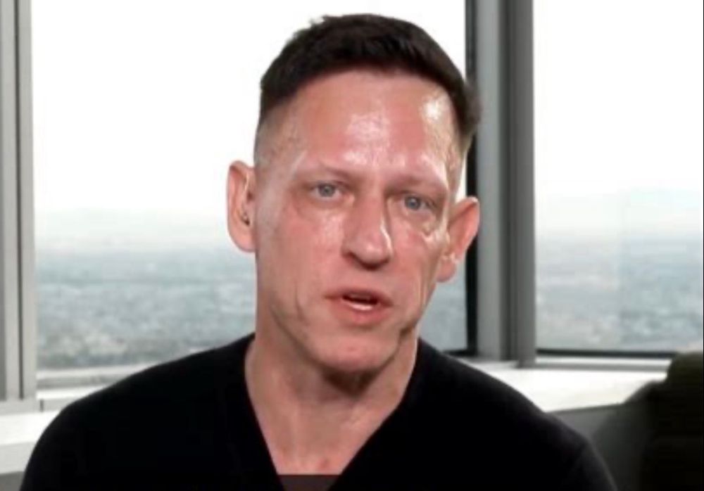 Peter Thiel, history’s dampest antichrist 
