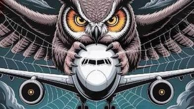 Image of an owl seizing a Russian bomber against the back ground of a spiderweb that was left on the hacked website of Tupolev Aviation, manufacturer of Russian strategic bombers. 