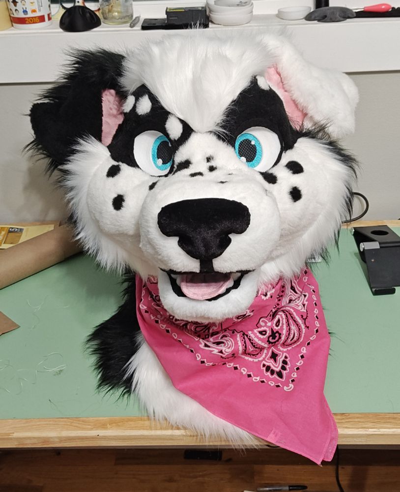 A border collie fursuit head in a much more brightly lit room.