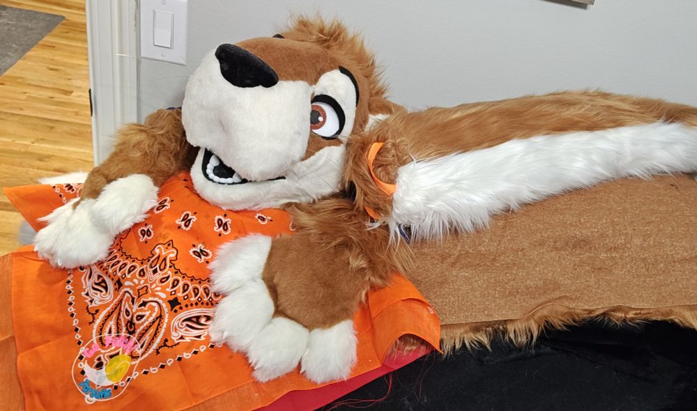Fursuit Otter head with an orange bandana, long tail, and fluffy paws!