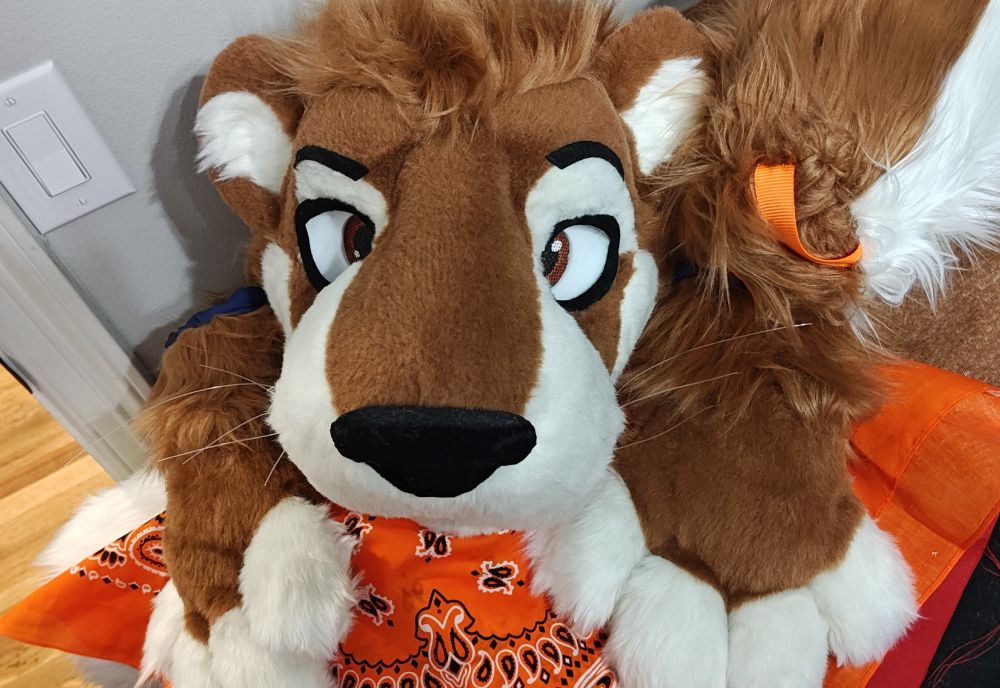 Fursuit Otter head with an orange bandana, and fluffy paws!