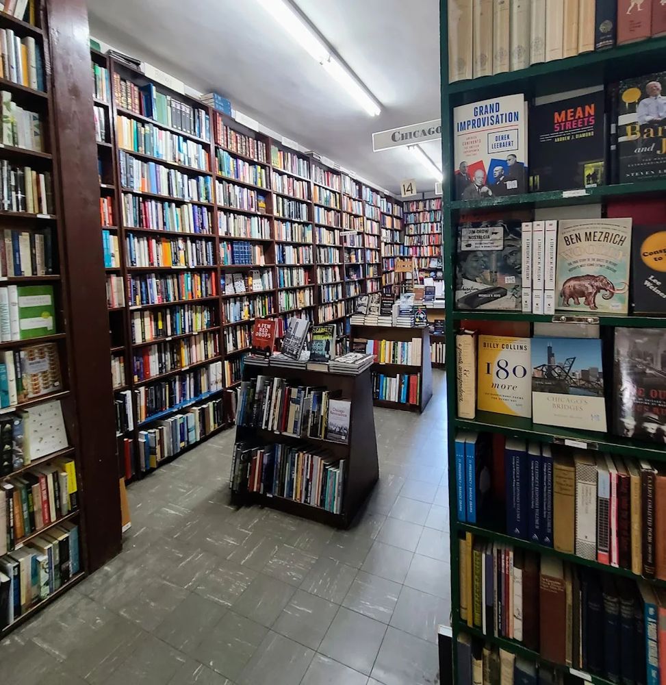 The walls are lined with shelves of books, colorful and full of thoughts.