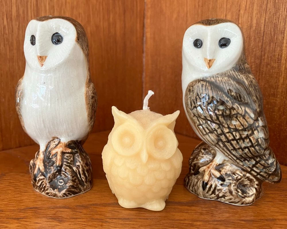 Some of my ornamental owl collection - a pair of barn owl salt & pepper pots, & a beeswax tawny owl candle. 