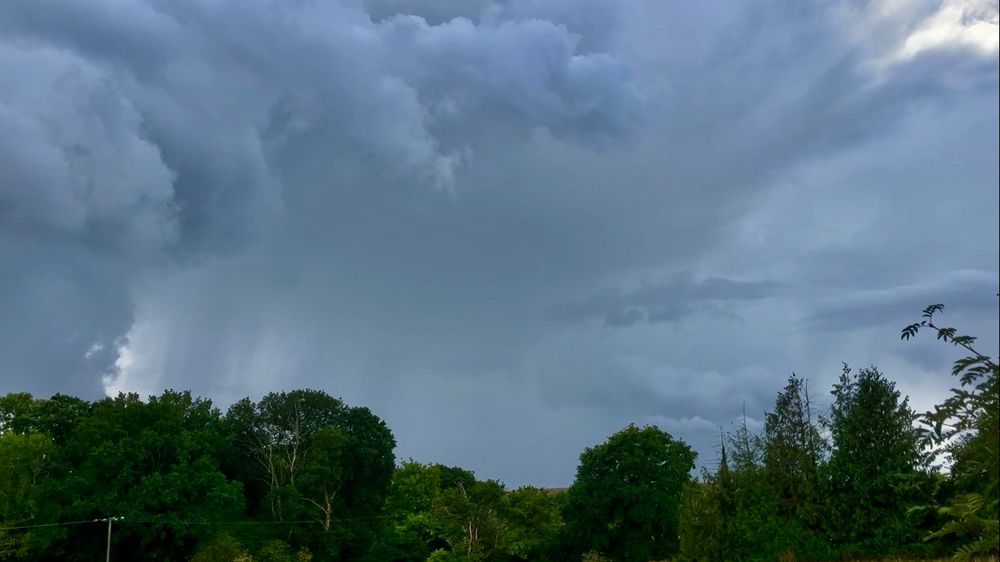 Very dark curdled storm clouds above dark trees