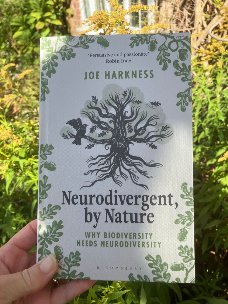 Joe’s book against my garden backdrop