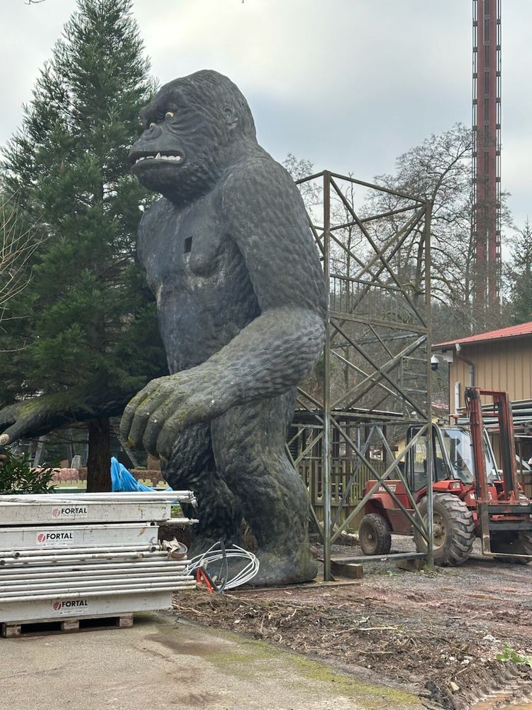 Le Gorille de Fraispertuis-City