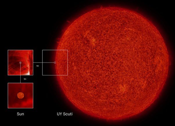 On pourrait mettre 3,69 milliards de soleils dans UY Scuti, plus grosse étoile connue.

Il s'agit d'une géante rouge, dont l'enveloppe se dilate suite à l’épuisement de son hydrogène.

Sa masse n'est que 7-10 fois supérieur à notre étoile. 

CREDIT : Martin Silvertant