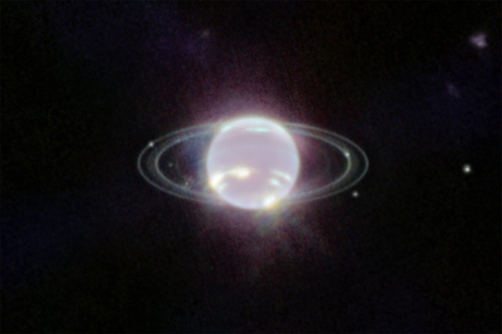 Neptune et ses anneaux en infrarouge, par le télescope James Webb.

CREDIT : NASA