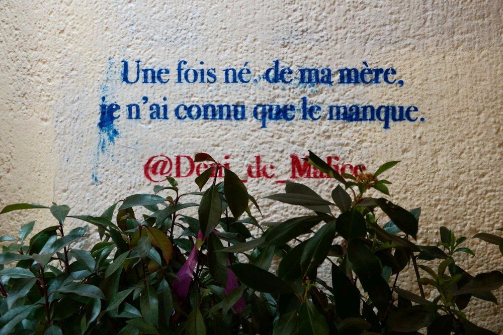 Street art in Paris Montparnasse
"Once born from my mother, I knew only poverty"