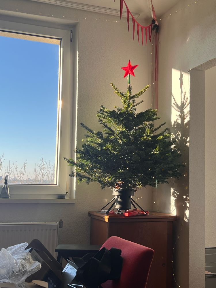 A Christmas tree with just lights and a red Soviet start toper 