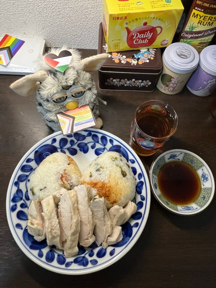 パレスチナプライドファービーと青い植物柄のお皿に乗ったおこげ付きのネギが入ったおにぎり２つ、その手前に皮を上にしてカットした鶏肉、横にはポン酢ベースのタレと、ハンギョドングラスの麦茶