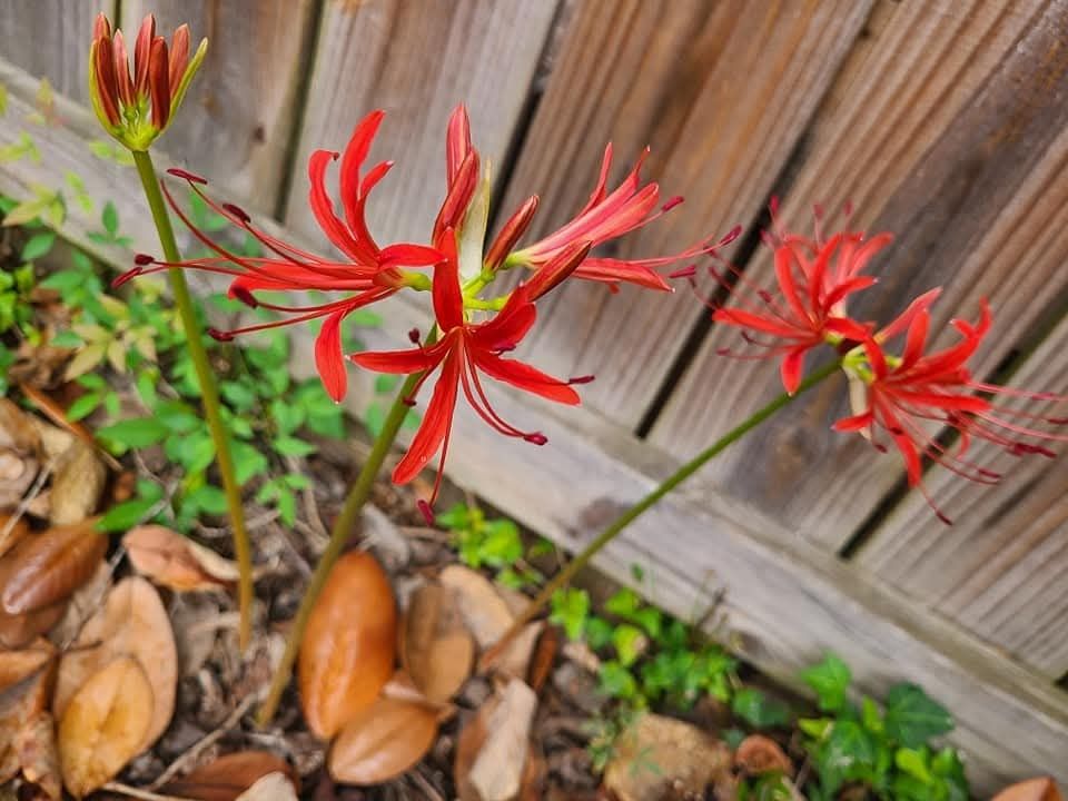 A photo I took a year or so ago
