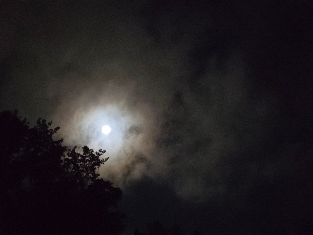 Photo of the hunter's moon from my back deck 