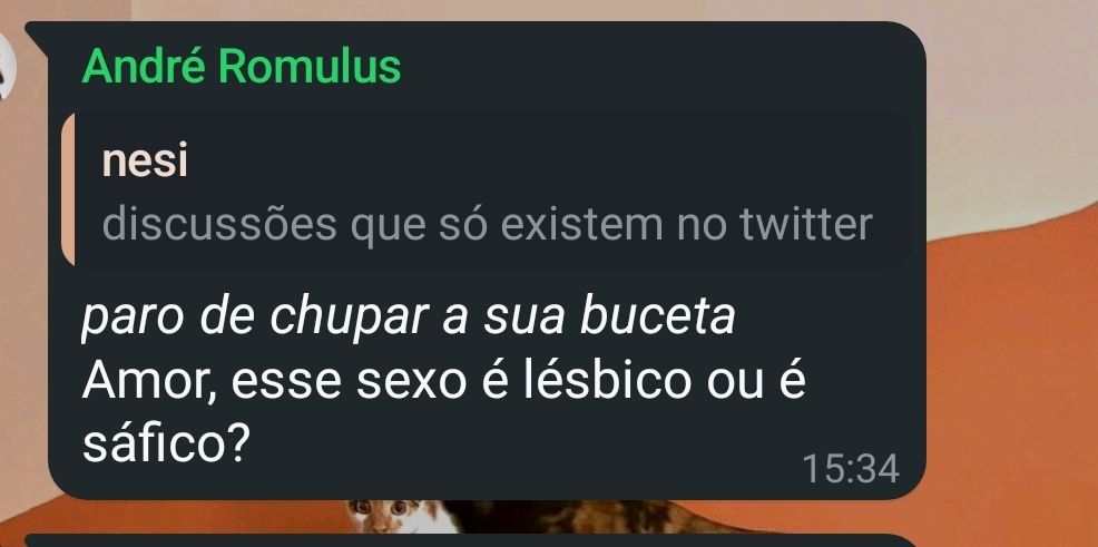 print do whatsapp
"discussões que só existem no twitter"
"*paro de chupar a sua buceta* amor esse sexo é lésbico ou é sáfico?"