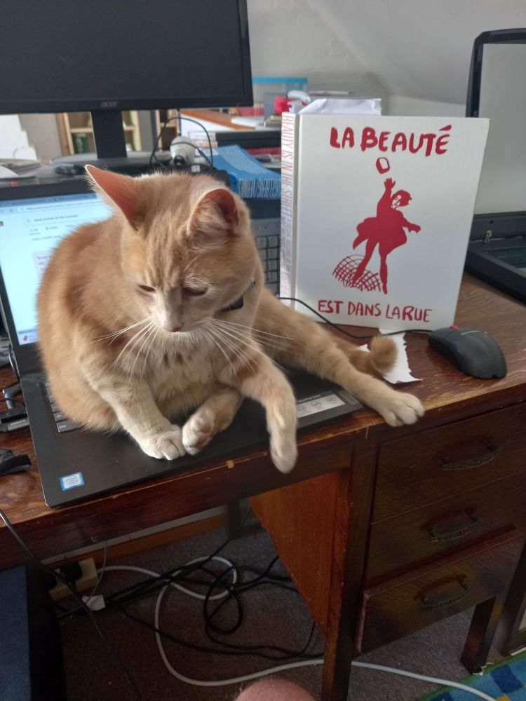 Communist cat Rocky sat on my laptop with poster from Paris uprising in the background that says Beauty is in the Street