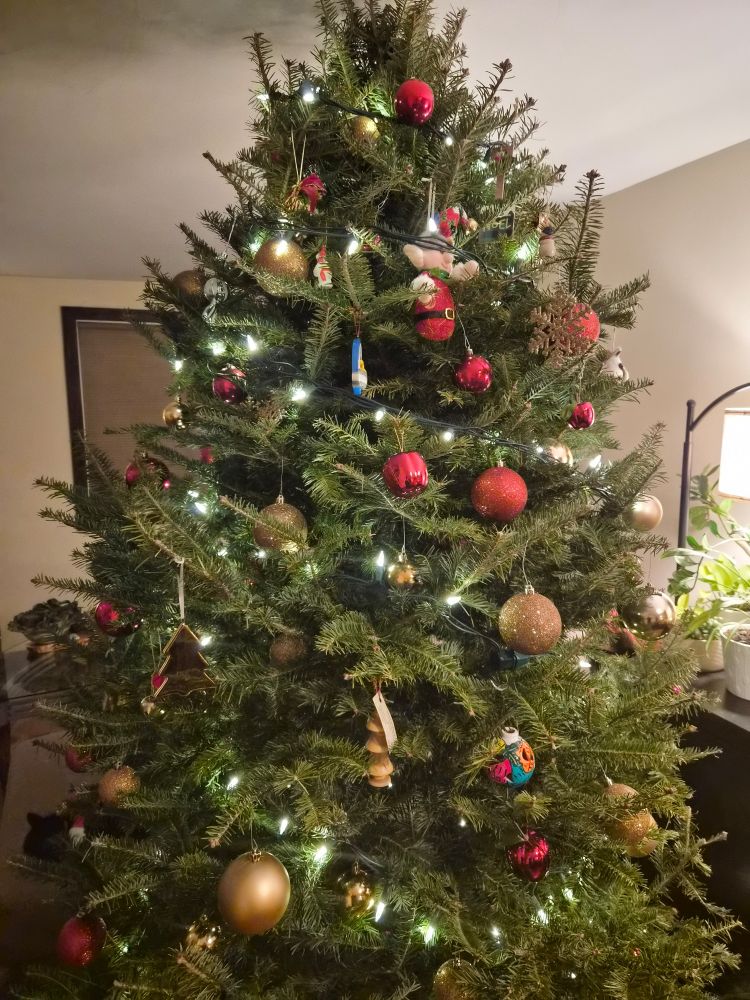 A festive Christmas tree