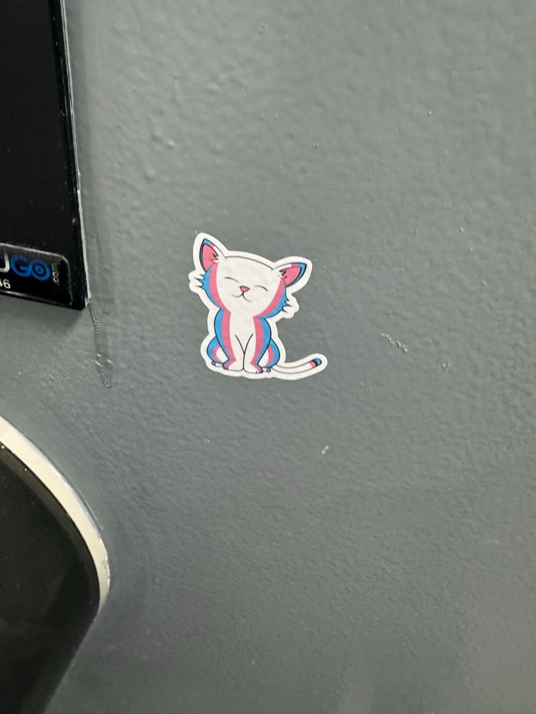 Picture of a sticker depicting a happy cat who has fur the colors of the trans flag
